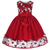 Lace Embroidery Kids Dresses