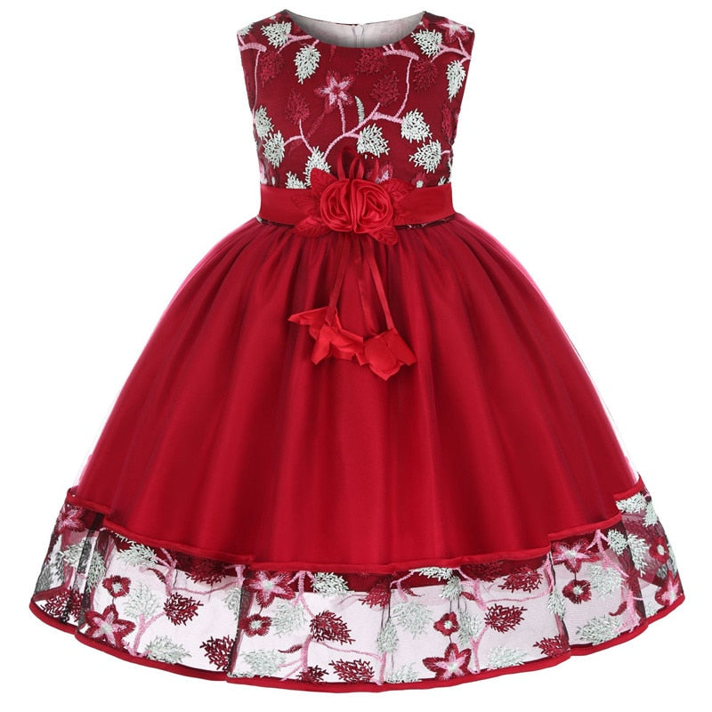 Lace Embroidery Kids Dresses