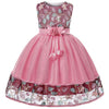 Lace Embroidery Kids Dresses
