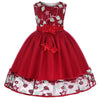 Lace Embroidery Kids Dresses