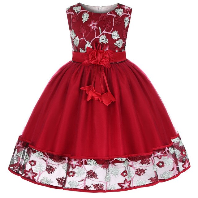 Lace Embroidery Kids Dresses