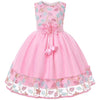 Lace Embroidery Kids Dresses