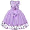 Lace Embroidery Kids Dresses