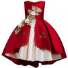 Children Dress Elegent