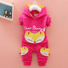 Autumn Baby Girls Boys Clothes
