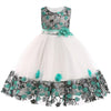 Baby Children Girl Dress
