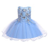 Baby Children Girl Dress