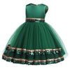Baby Children Girl Dress