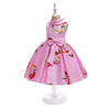 Lace Embroidery Kids Dresses