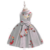 Lace Embroidery Kids Dresses