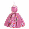 Lace Embroidery Kids Dresses