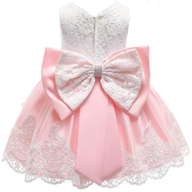 Baby Embroidered Formal Princess Dress