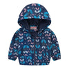 2019 New Spring Autumn Girls Windbreaker