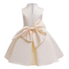 Kids Tutu Birthday Princess Party