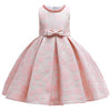 Baby Lace Tutu Princess Dress