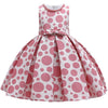 Baby Lace Tutu Princess Dress