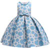 Baby Lace Tutu Princess Dress