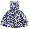 Baby Lace Tutu Princess Dress