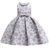 Baby Lace Tutu Princess Dress