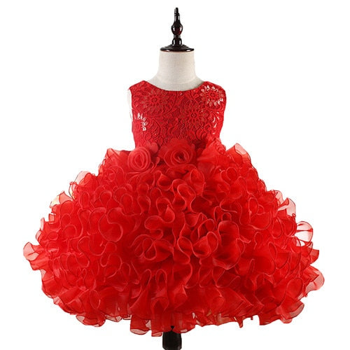 Girls Princess Flowers Ball Gown