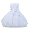 Baby Girl Princess Dresses