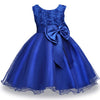 Baby Girl Princess Dresses