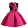 Baby Girl Princess Dresses