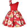 Baby Girl Princess Dresses