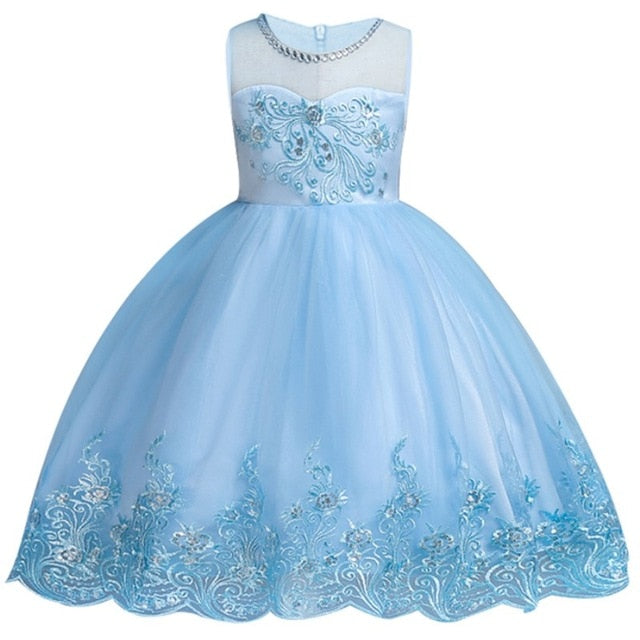 Baby Embroidered Formal Princess Dress