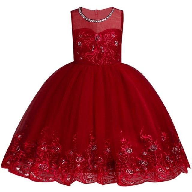 Baby Embroidered Formal Princess Dress