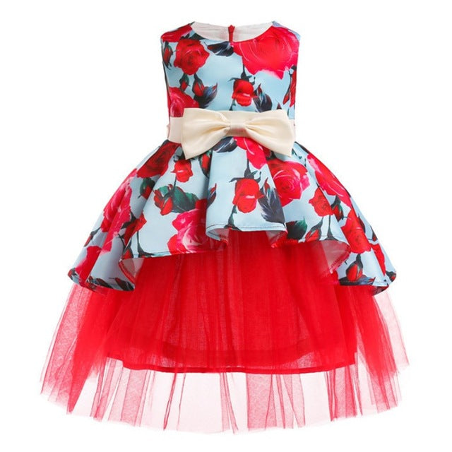 Printed Girl dress For Girls