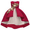Baby Girl Princess Dresses