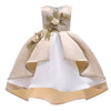 Baby Girl Princess Dresses