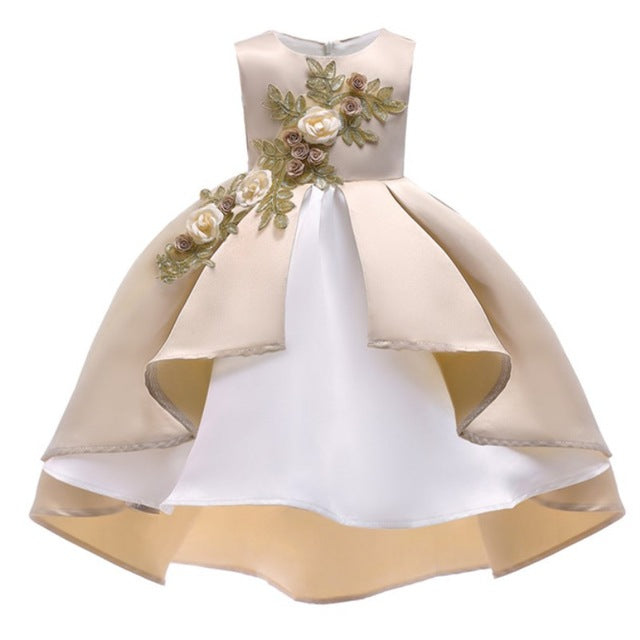 Baby Girl Princess Dresses