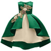 Printed Girl dress For Girls