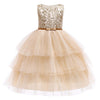 Baby Embroidered Formal Princess Dress