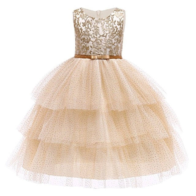 Baby Embroidered Formal Princess Dress