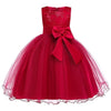 Baby Girl New Year Party Dress