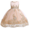 Baby Children Girl Dress