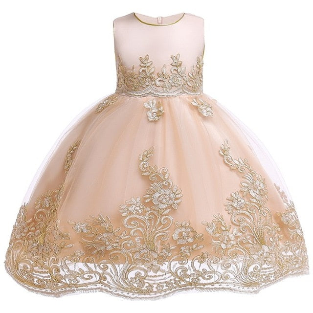 Baby Children Girl Dress