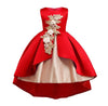 Baby Girl Flower Princess Dress
