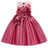 Girls Princess Flowers Ball Gown