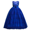 Princess Party Dress for Girls Wedding