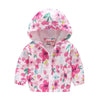 2019 New Spring Autumn Girls Windbreaker