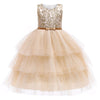 Kids Birthday Princess Party Dress
