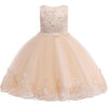 Girl Dress for Wedding Party
