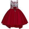 Kids Tutu Birthday Princess Party