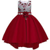 Kids Tutu Birthday Princess Party