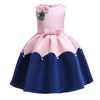 Baby Tutu Princess Dress
