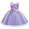 Baby Embroidery Lace Tutu